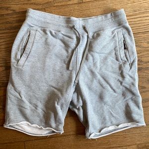 Nike SB shorts